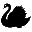 custom_website